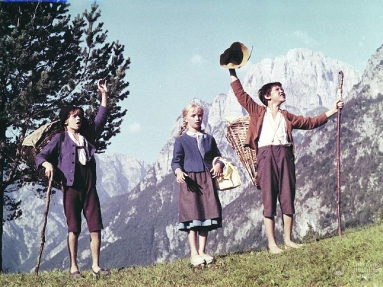 poletni-filmski-veceri
