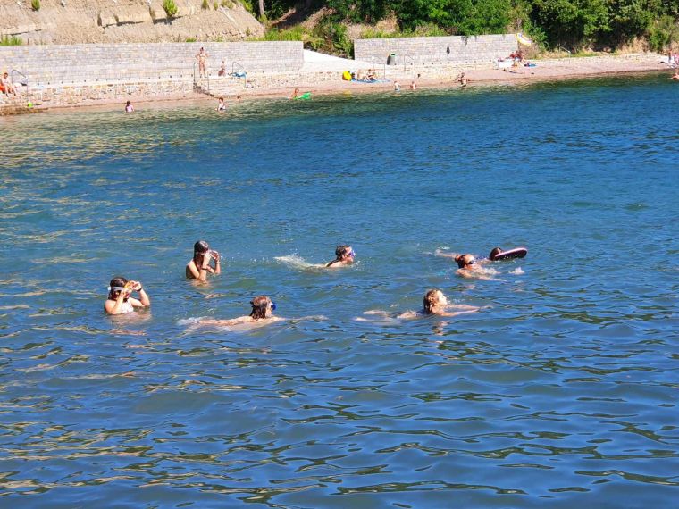 debeli-rtic, rdeci-kriz-novo-mesto