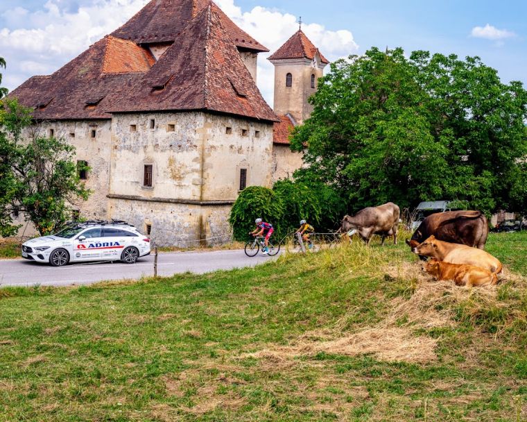 kids-tour-of-slovenia