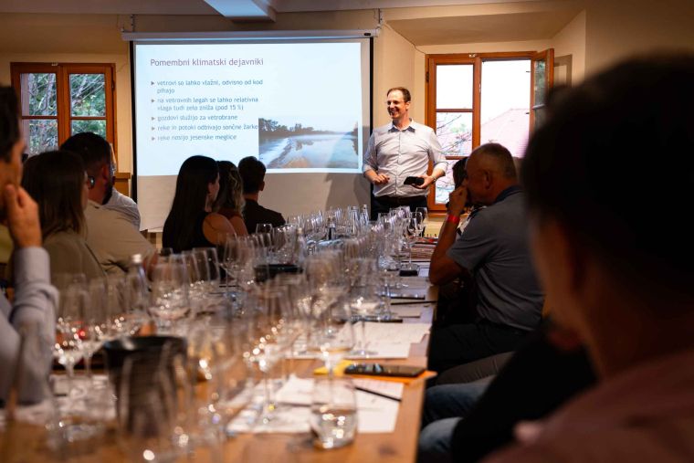 best-wines-of-posavje