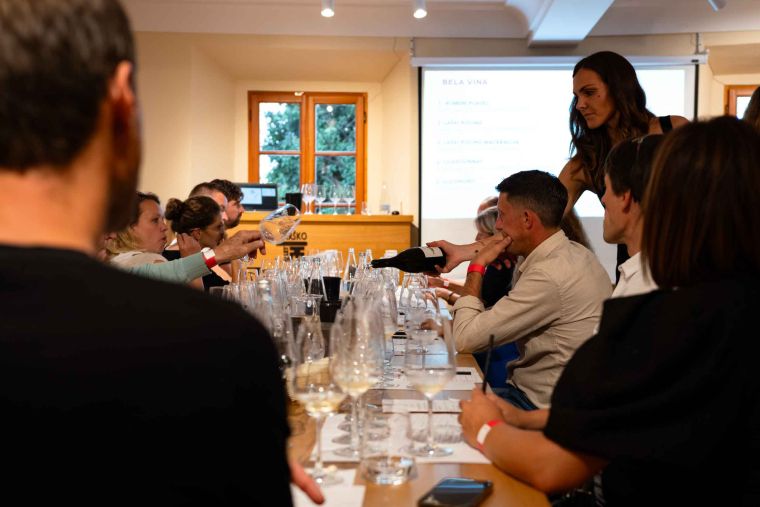 best-wines-of-posavje