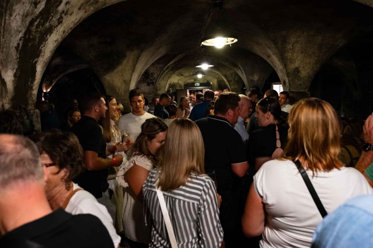 best-wines-of-posavje