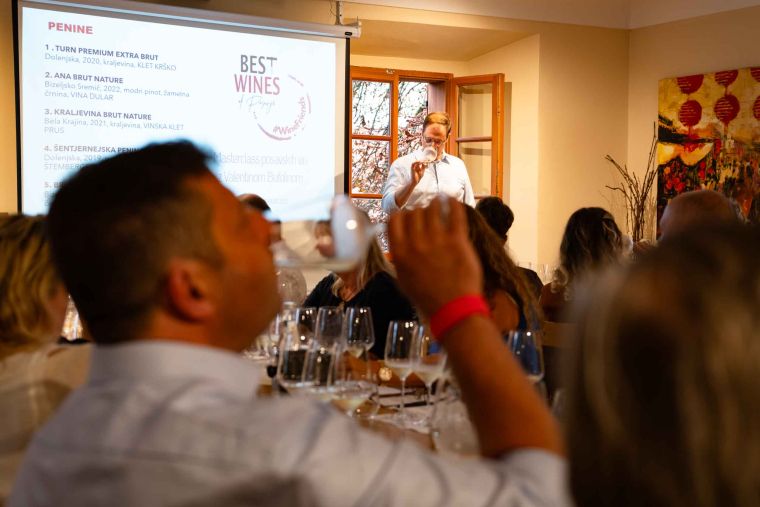 best-wines-of-posavje