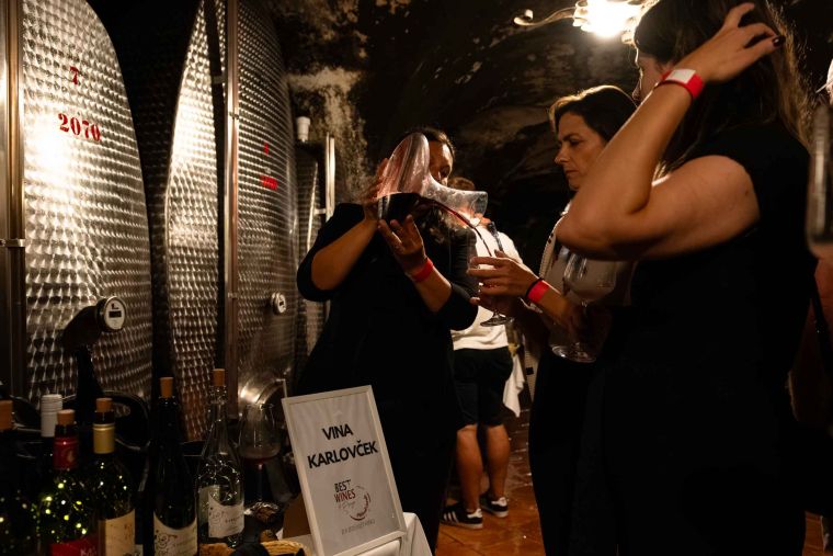 best-wines-of-posavje