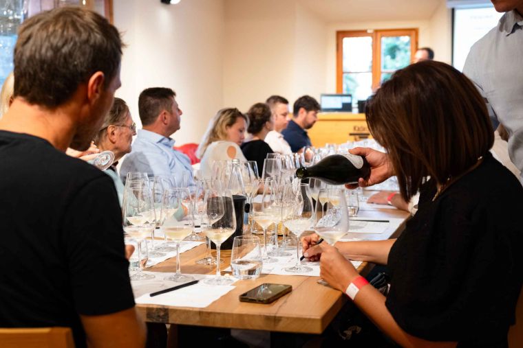 best-wines-of-posavje