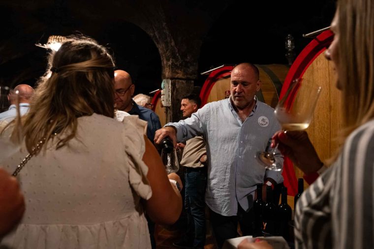 best-wines-of-posavje