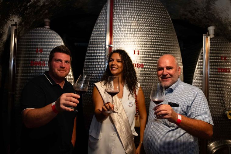 best-wines-of-posavje