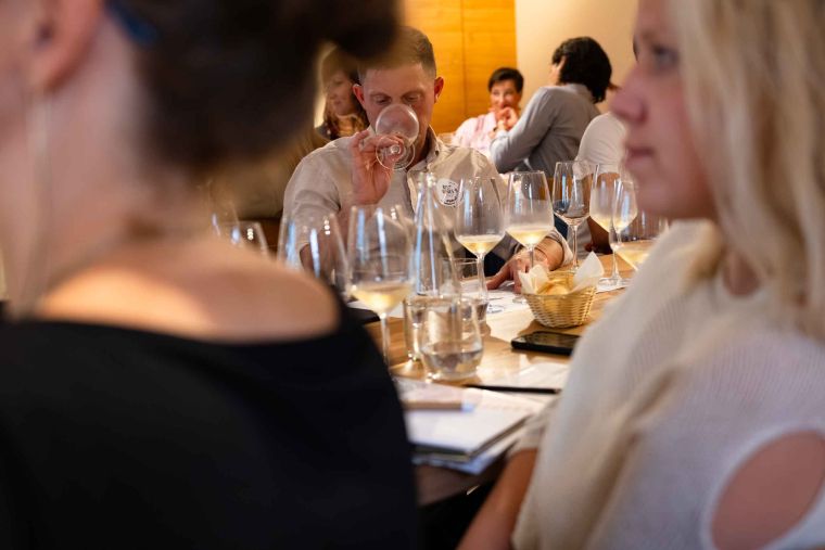 best-wines-of-posavje