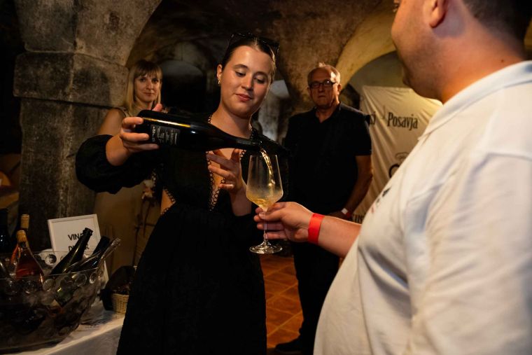 best-wines-of-posavje
