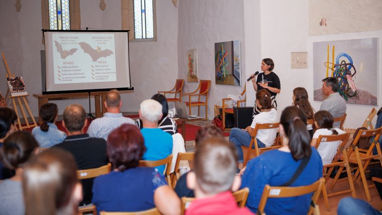 noc-netopirjev