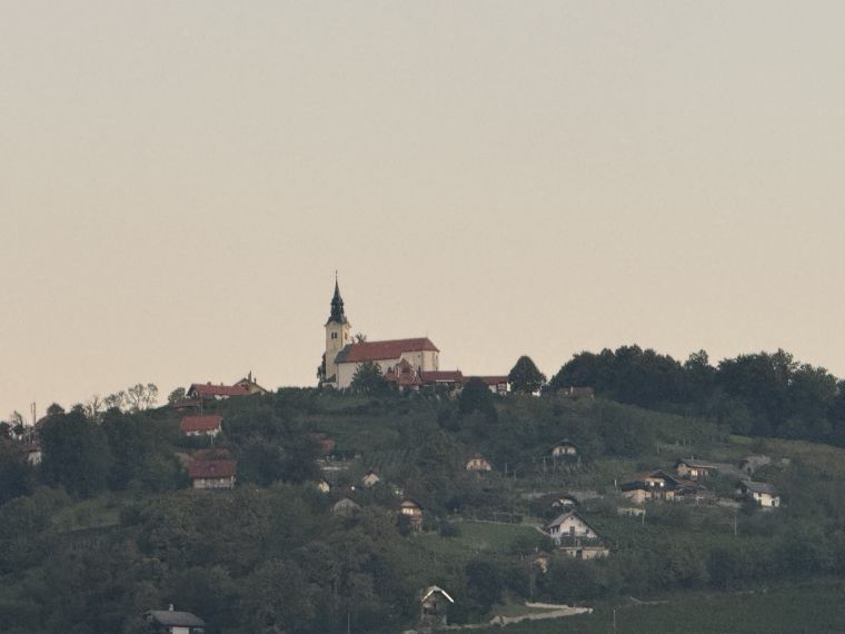 dijaki-strojne-sole-novo-mesto-pes-v-solo
