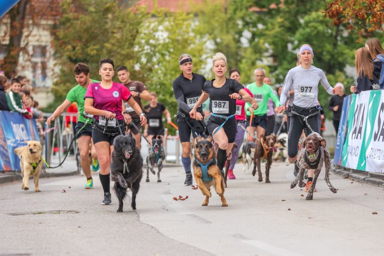 novomeski-polmaraton