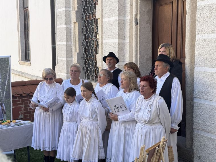 posavski-muzej-brezice