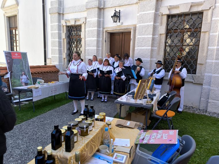 posavski-muzej-brezice
