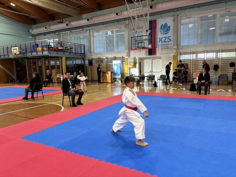 karate-klub-mirna-pec