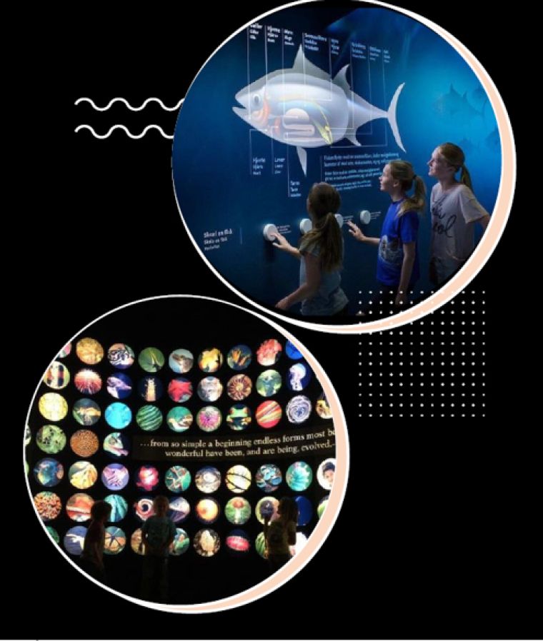 aquavisio