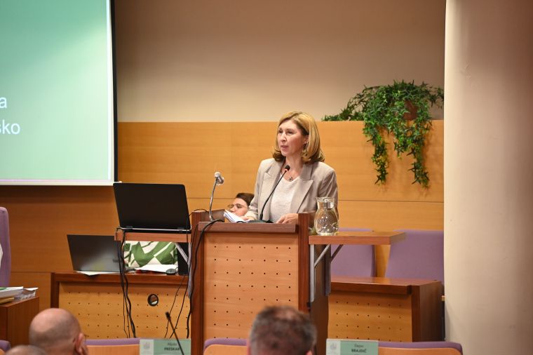 mestna-obcina-krsko