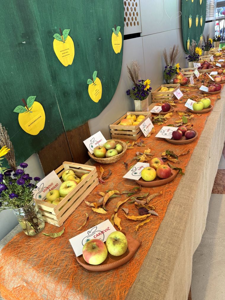 24-praznik-topliskega-jabolka