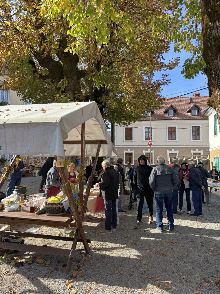 24-praznik-topliskega-jabolka