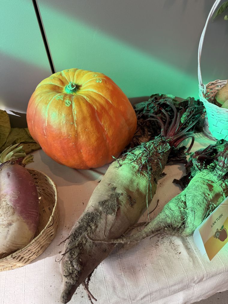 24-praznik-topliskega-jabolka