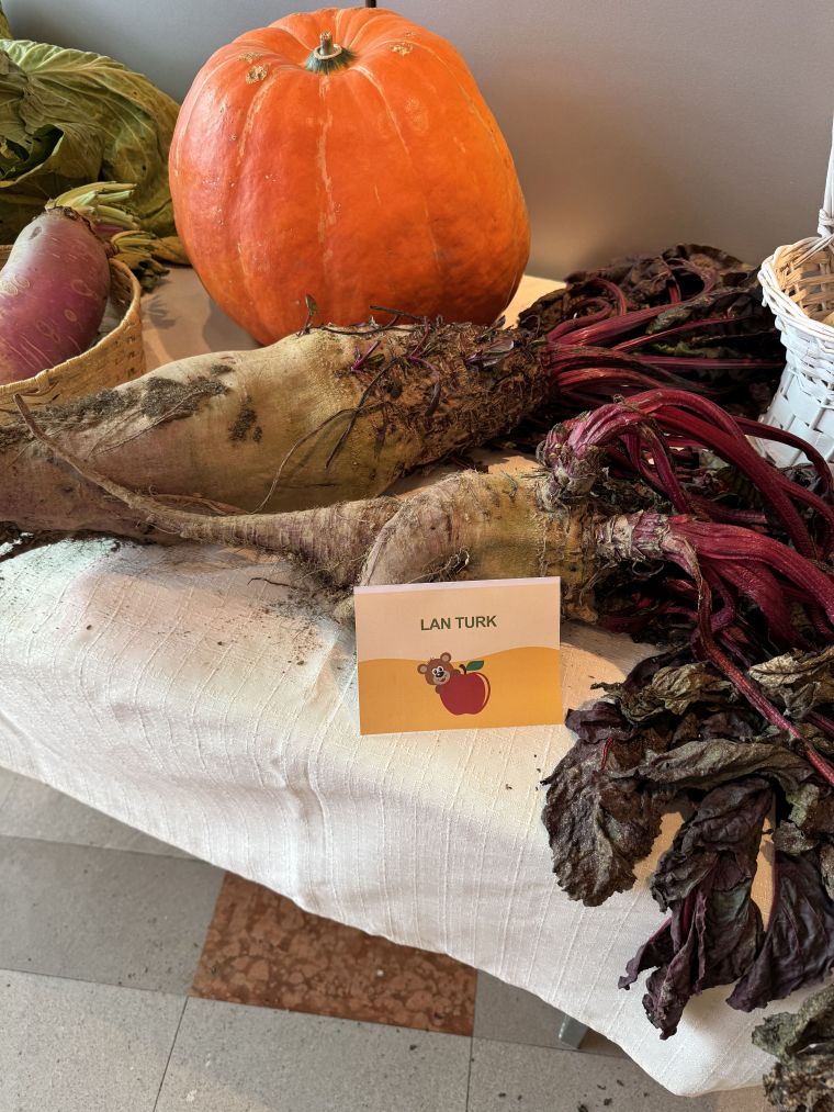 24-praznik-topliskega-jabolka