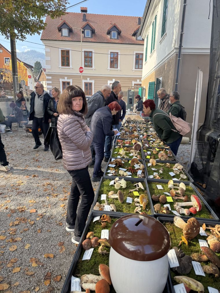 24-praznik-topliskega-jabolka