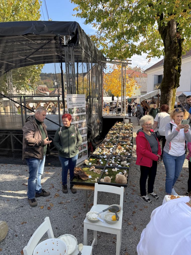 24-praznik-topliskega-jabolka