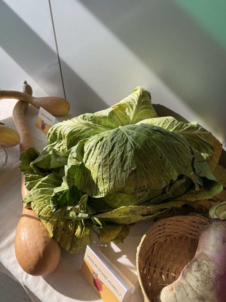 24-praznik-topliskega-jabolka