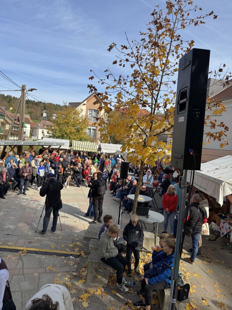 24-praznik-topliskega-jabolka