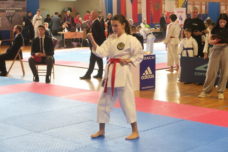 kk-soltec-brezice