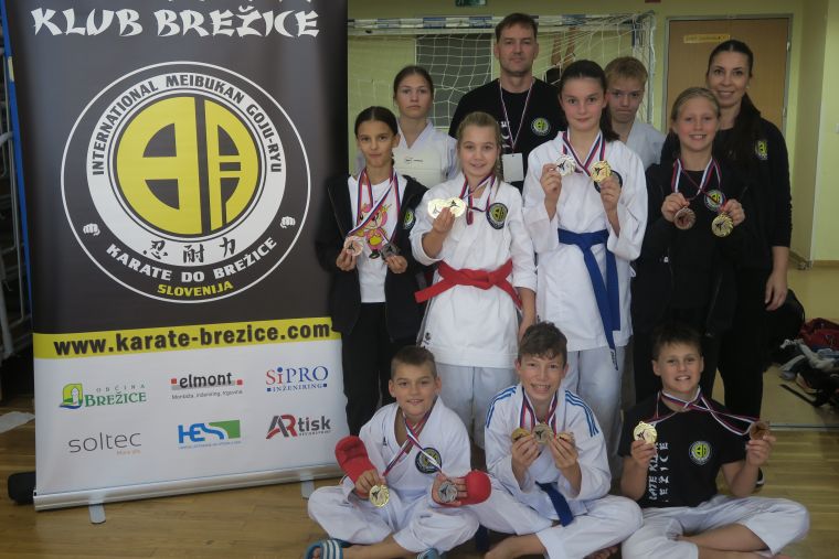 kk-soltec-brezice