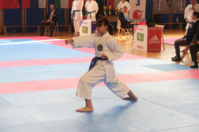 kk-soltec-brezice