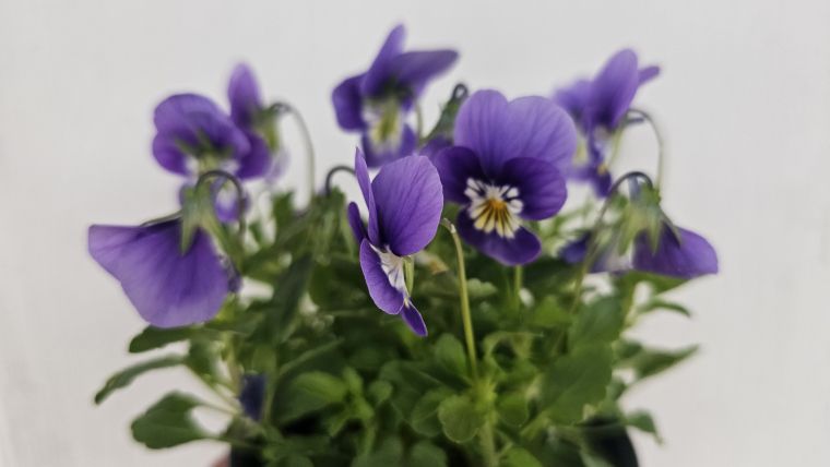 grm-novo-mesto-center-biotehnike-in-turzima