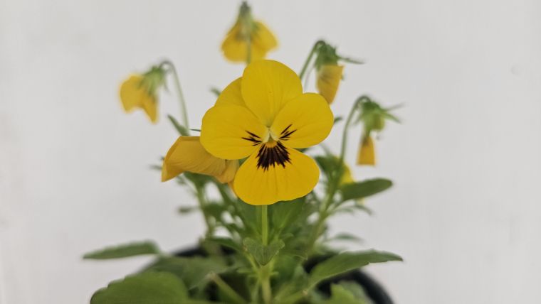 grm-novo-mesto-center-biotehnike-in-turzima