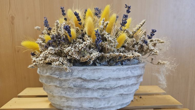 grm-novo-mesto-center-biotehnike-in-turzima