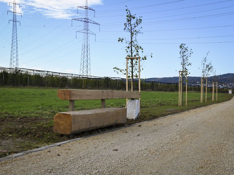 vecnamenska-pot-ob-savi