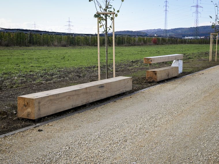 vecnamenska-pot-ob-savi