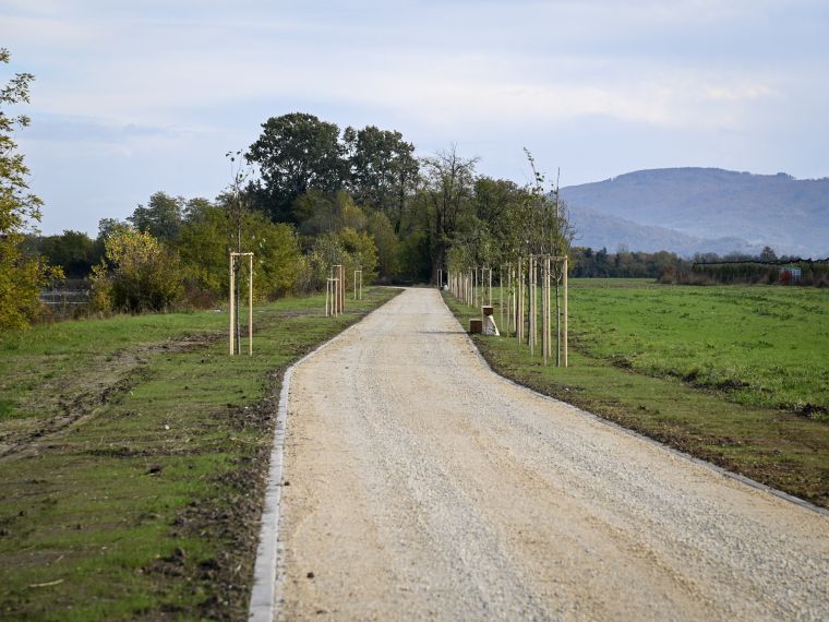 vecnamenska-pot-ob-savi