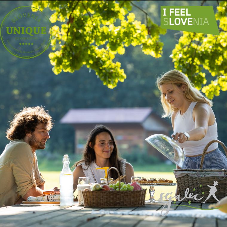 5-zvezdicno-buticno-dozivetje-na-dolenjskem