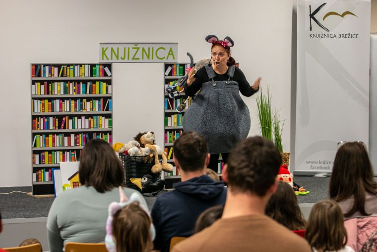 knjiznica-brezice