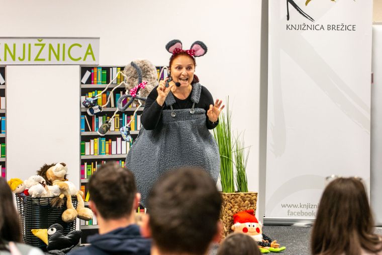 knjiznica-brezice