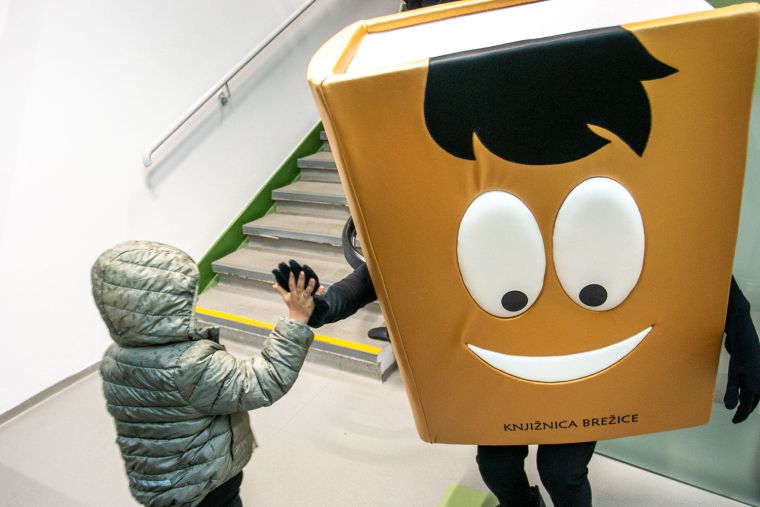 knjiznica-brezice