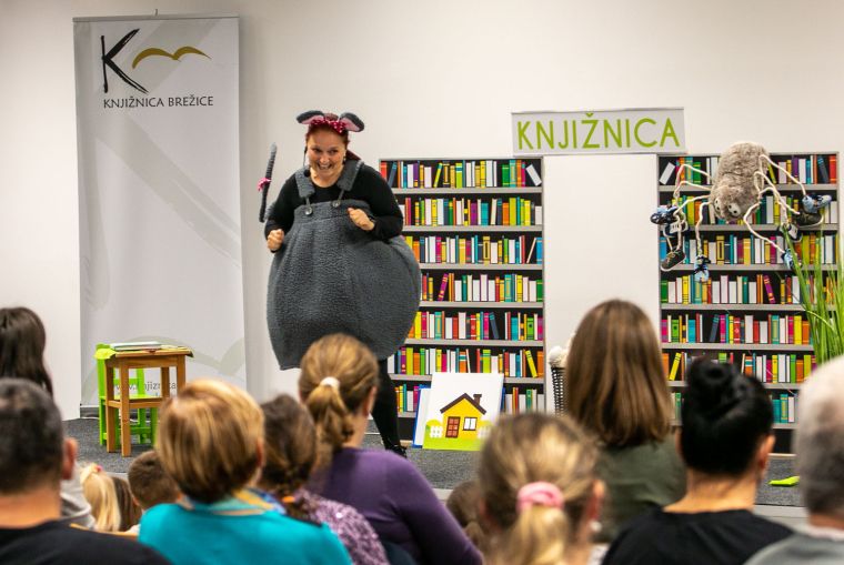 knjiznica-brezice