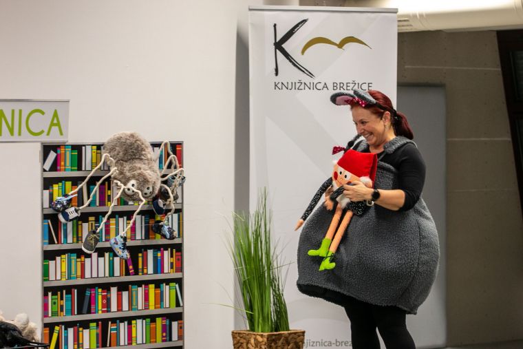 knjiznica-brezice
