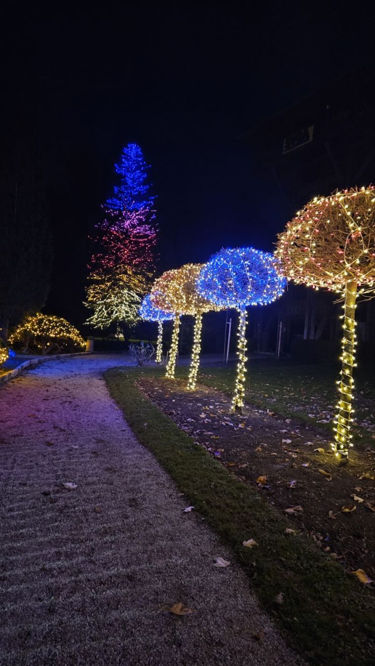 mozirski-gaj-bozicna-bajka-slovenije