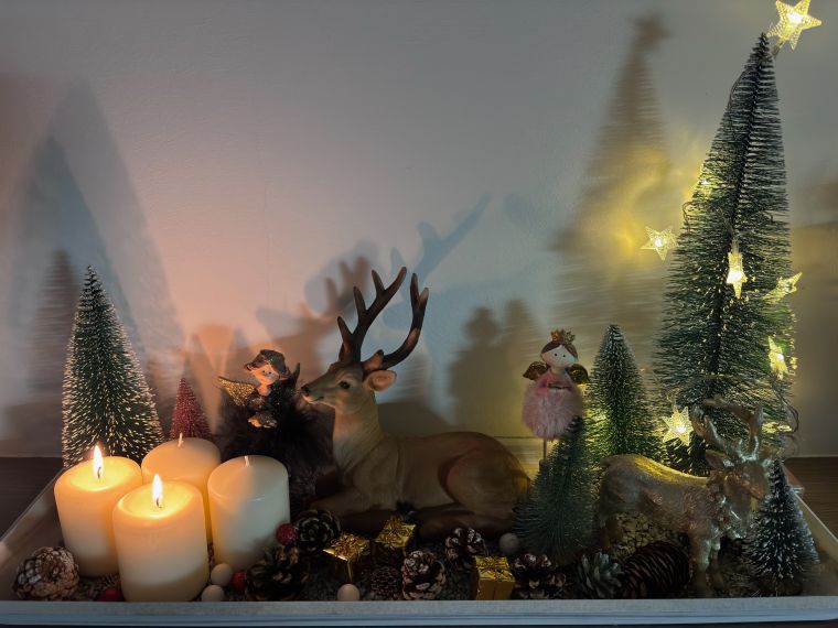 Vencek Renata Novo mesto