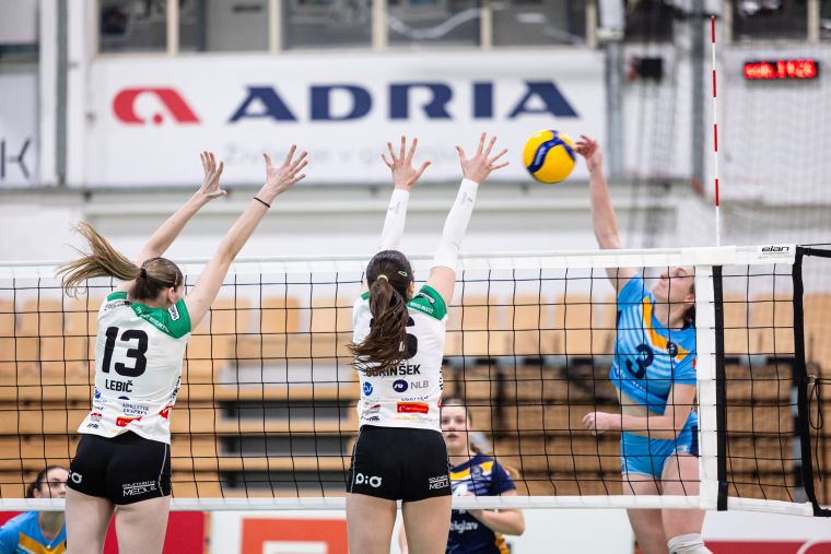 tpv-volley-novo-mesto