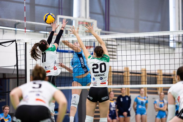tpv-volley-novo-mesto
