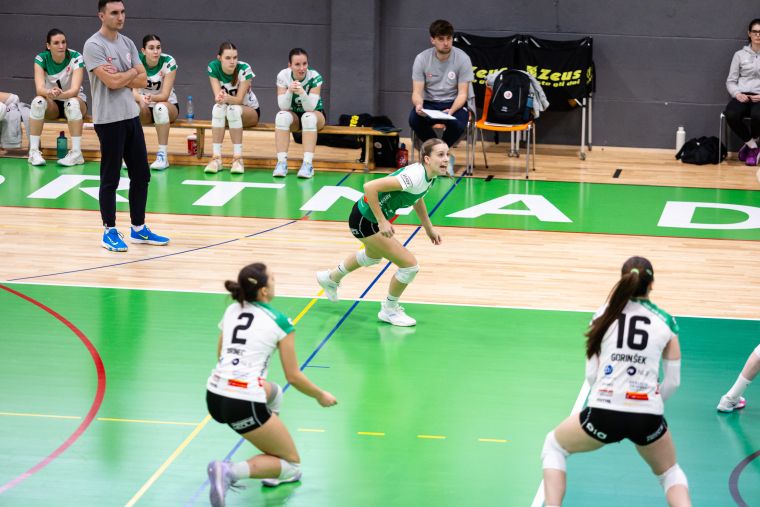 tpv-volley-novo-mesto