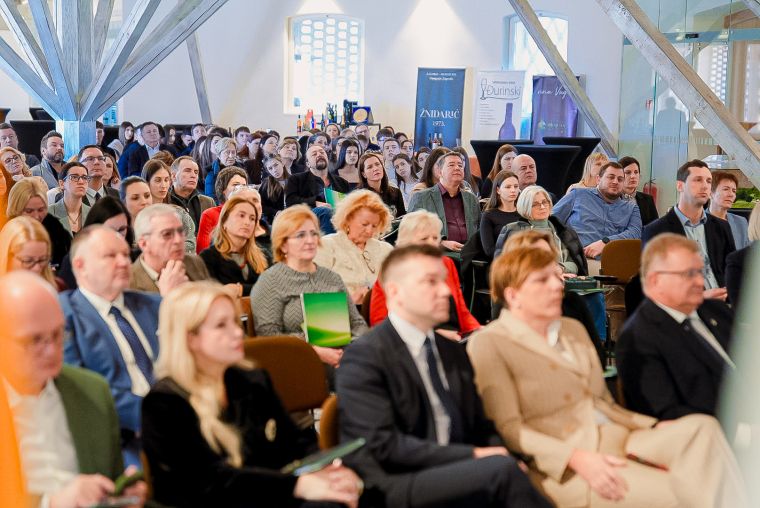 most-energije-zapresic-brezice